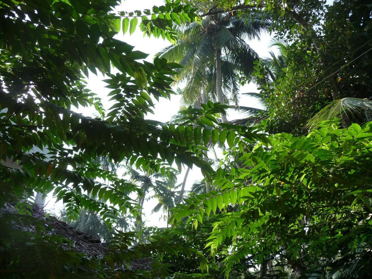 Hotel Peacock Kovalam Exteriör bild